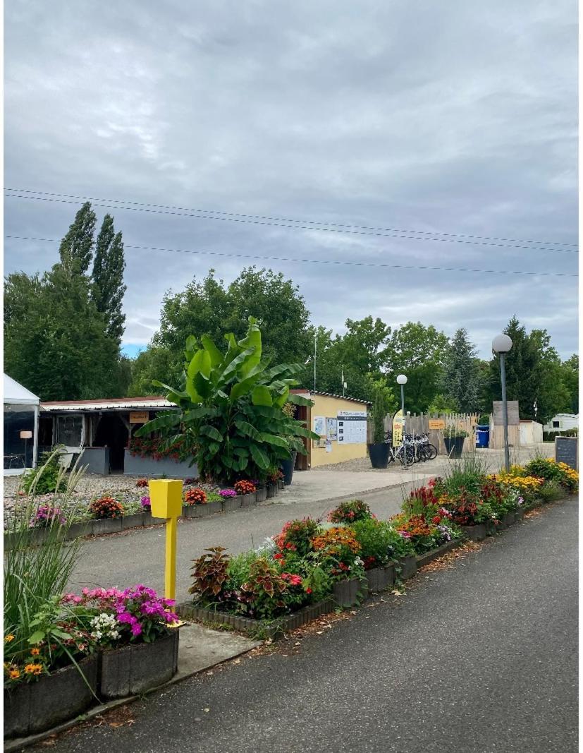 Mobile Home Proche De Europa Park Boofzheim Exteriér fotografie